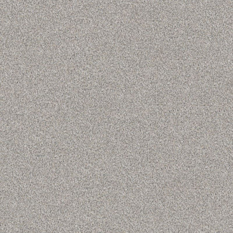Top Dog carpet by Dixie Home