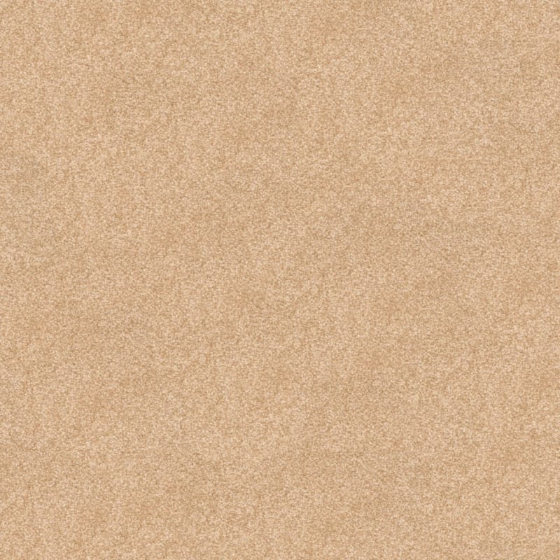 True Comfort carpet by Dixie Home