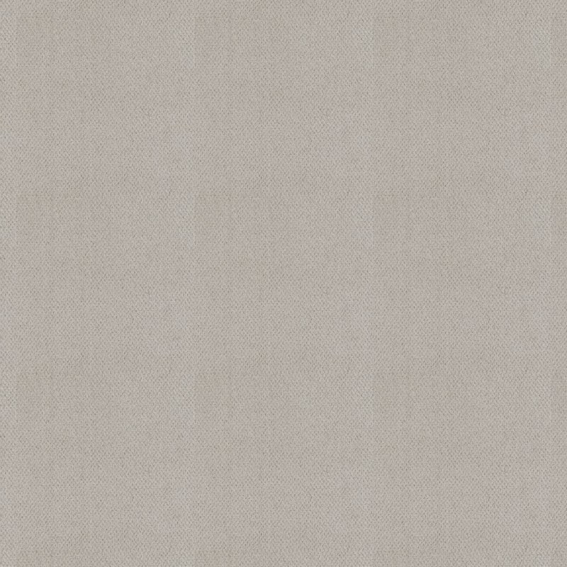 Dx300 carpet by Dixie Home