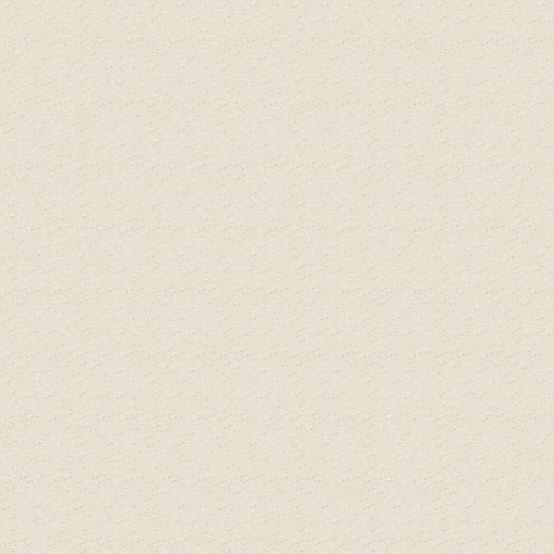 Attributes carpet by Dixie Home