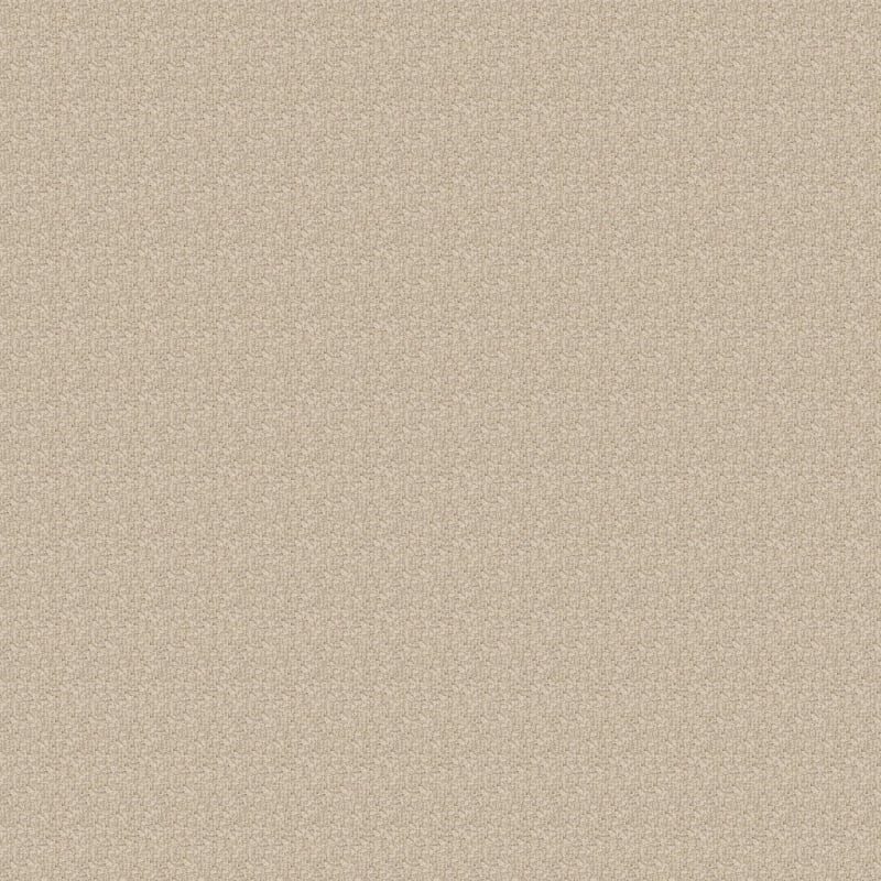 Aspects carpet by Dixie Home
