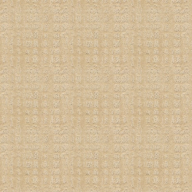 Willow Lake carpet by Dixie Home