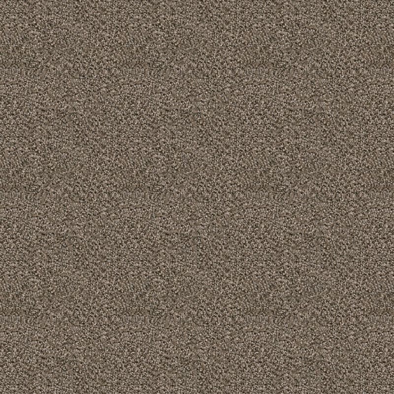 Dx118 carpet by Dixie Home