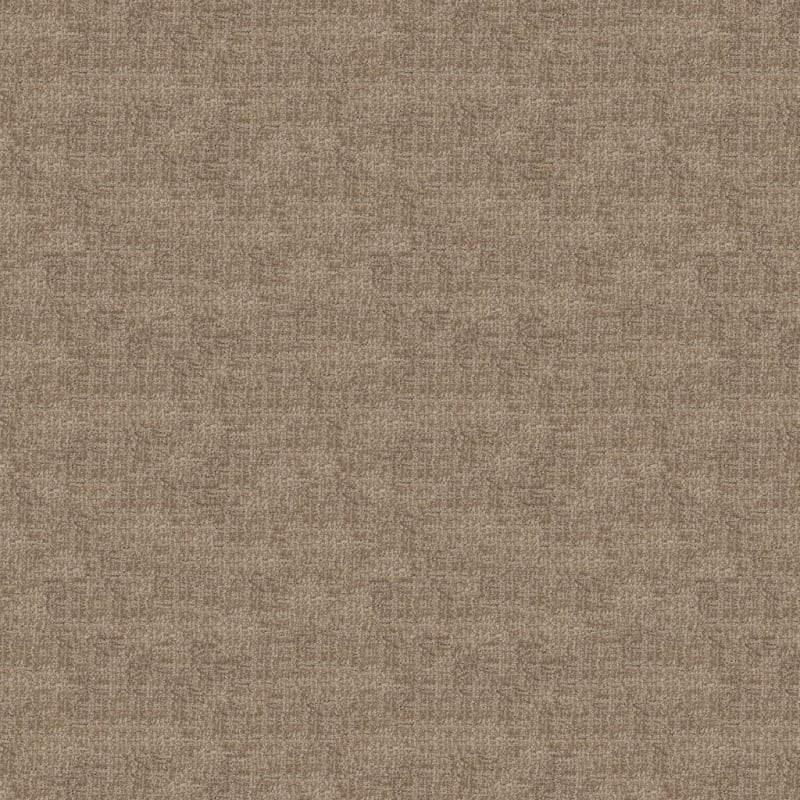 Connection carpet by Dixie Home