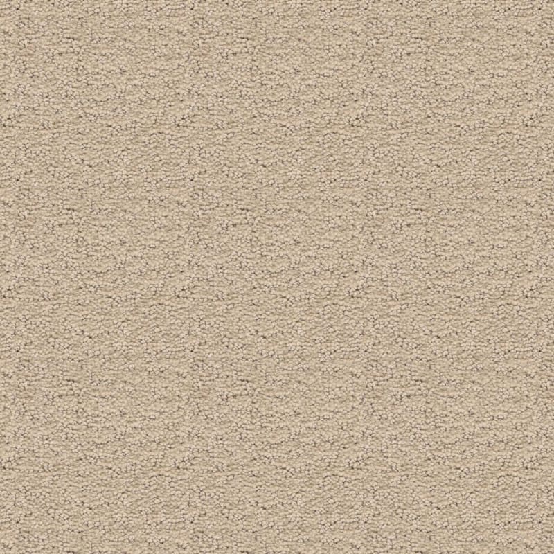 Prize Winner carpet by Dixie Home