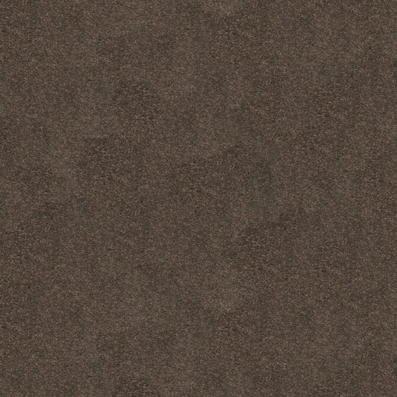 Soft & Silky carpet by Dixie Home