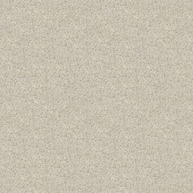 Rochelle carpet by Dixie Home