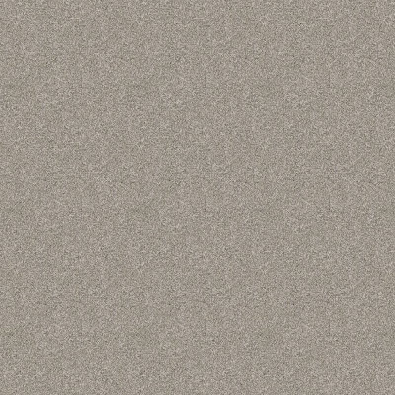 Labrador carpet by Dixie Home