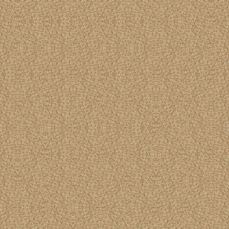 Spirit carpet by Dixie Home