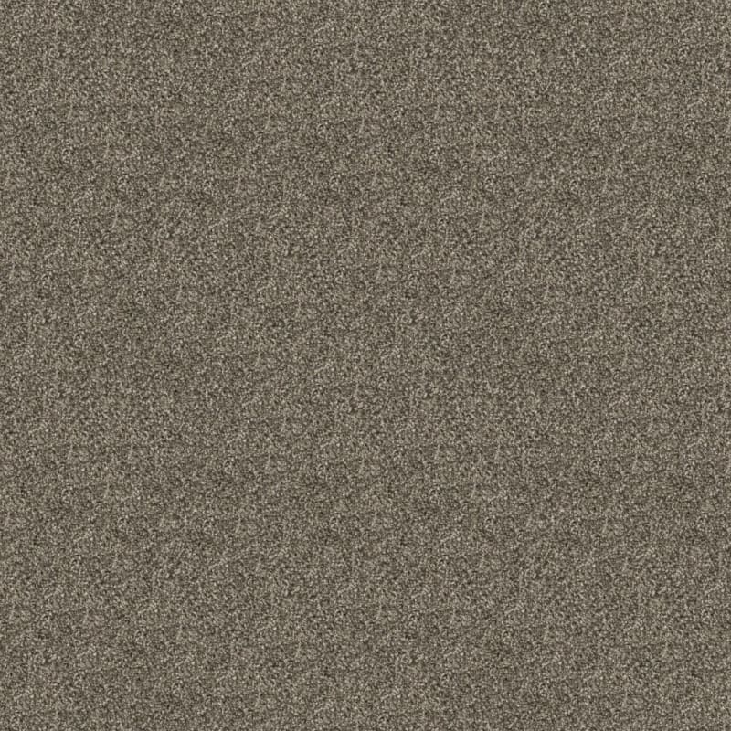 Game Plan carpet by Dixie Home