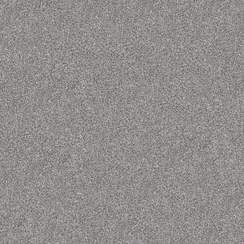 Top Dog carpet by Dixie Home