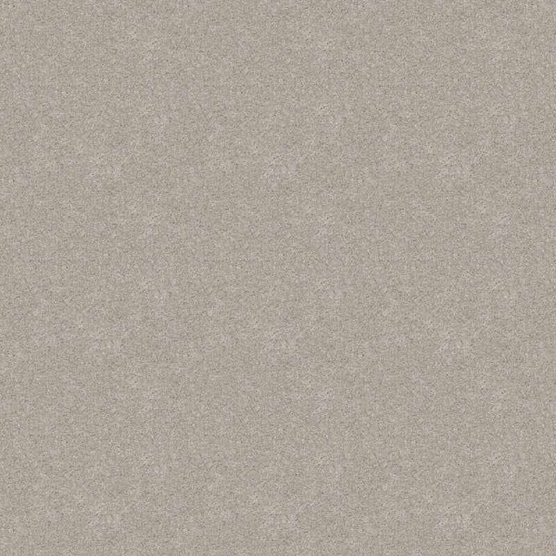 Labrador carpet by Dixie Home