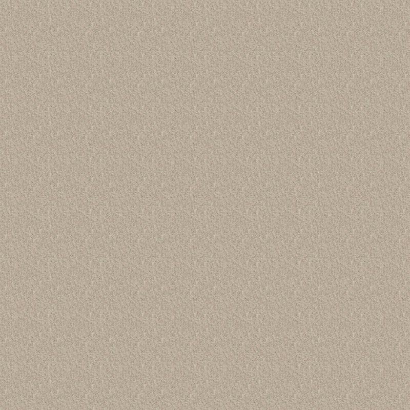 Chromatic Touch carpet by Dixie Home