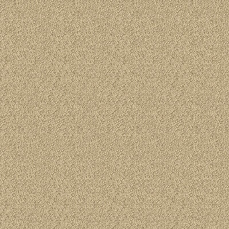 Colorworks carpet by Dixie Home