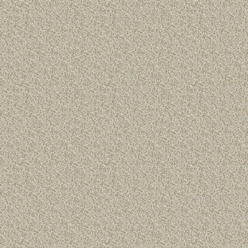 Big Idea carpet by Dixie Home