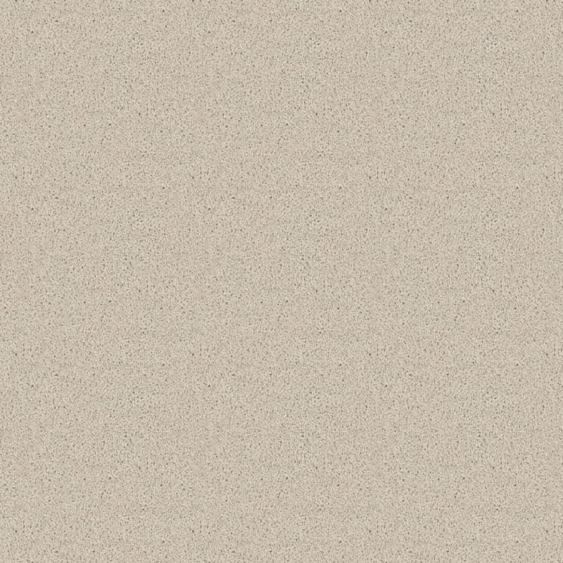 Dx836 carpet by Dixie Home