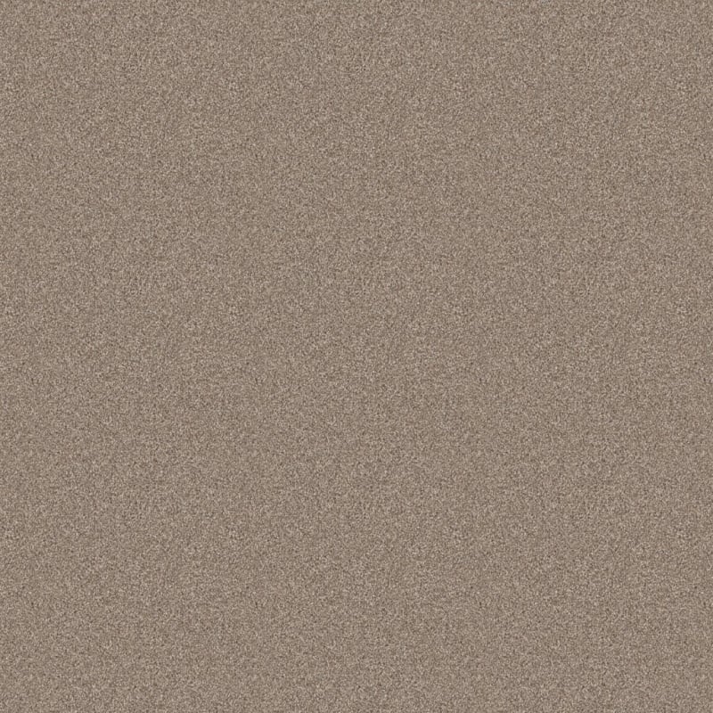 Admiration carpet by Dixie Home