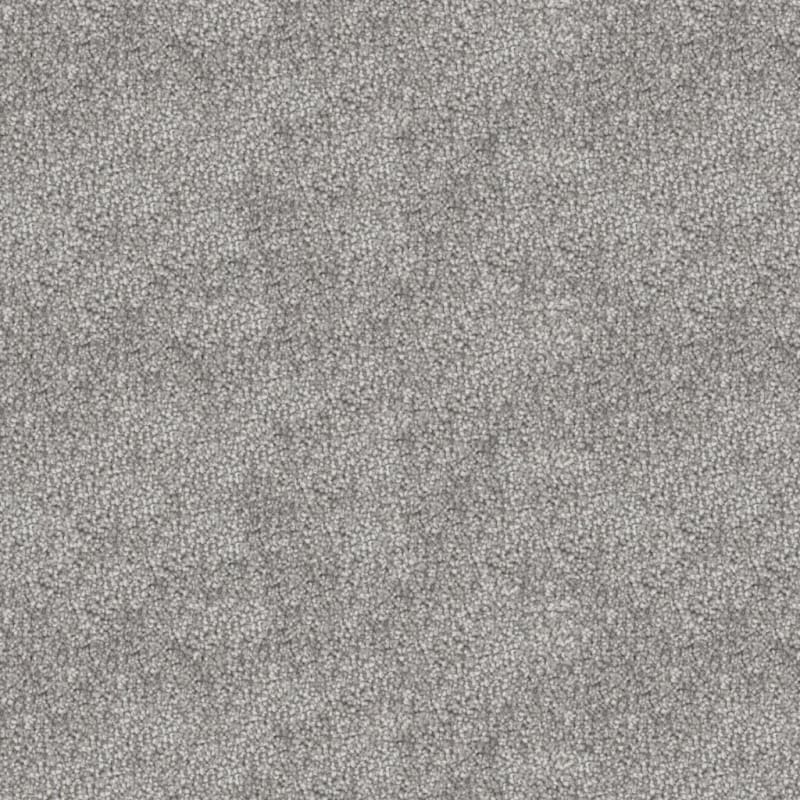 Dx835 carpet by Dixie Home