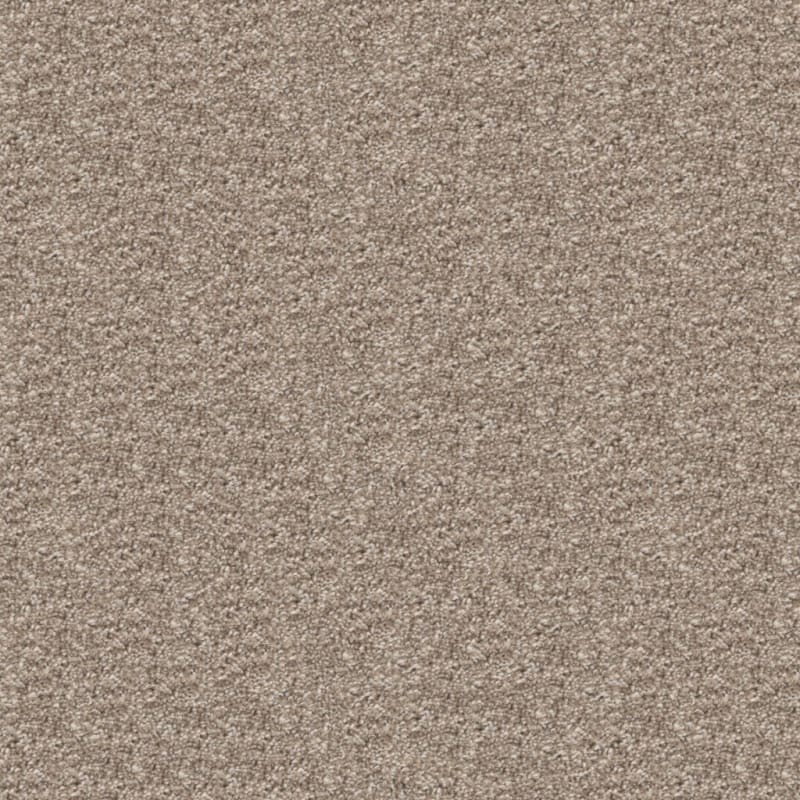 Dx108 carpet by Dixie Home
