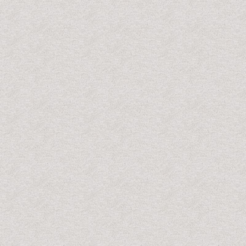 Dx220 carpet by Dixie Home