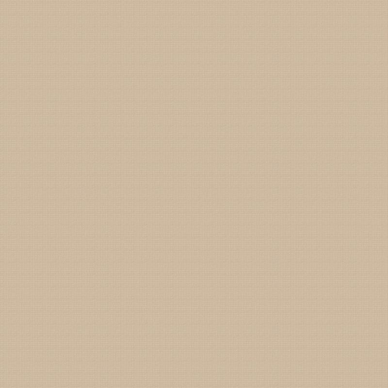 Steadfast carpet by Dixie Home
