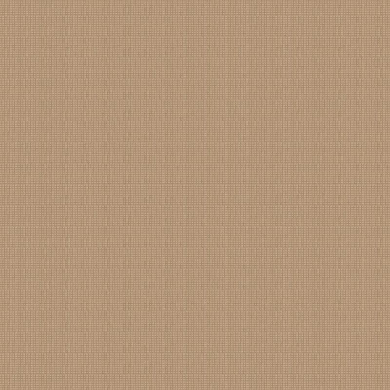 Steadfast carpet by Dixie Home