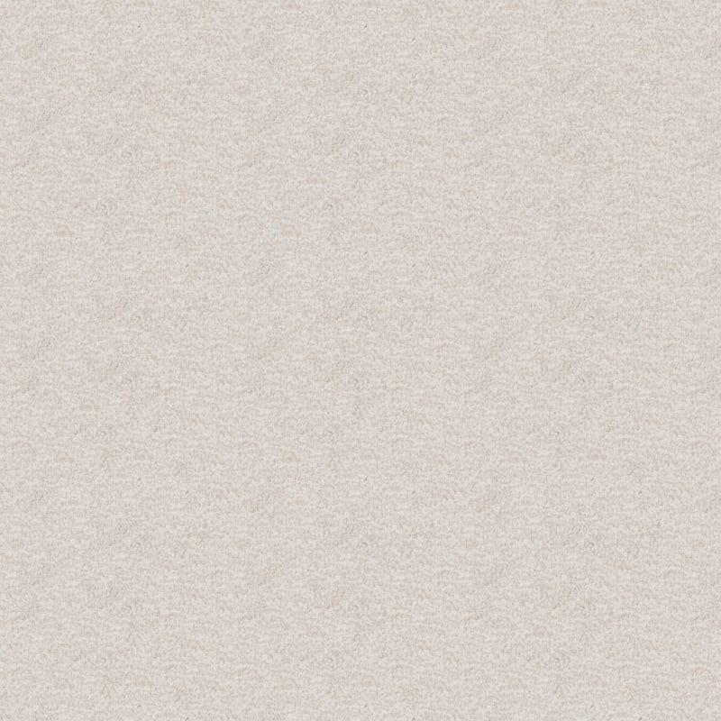 Dx220 carpet by Dixie Home