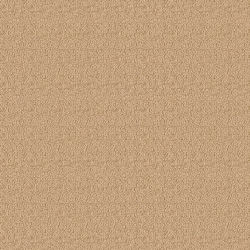 Innovations carpet by Dixie Home