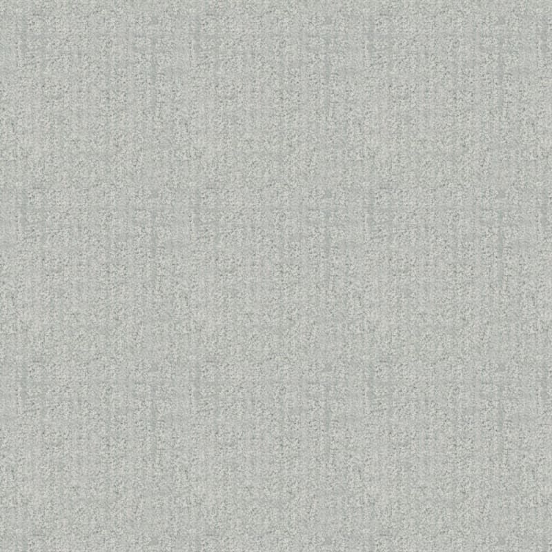 Seagate carpet by Dixie Home