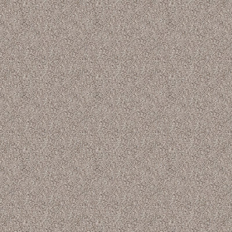 Saint Bernard carpet by Dixie Home