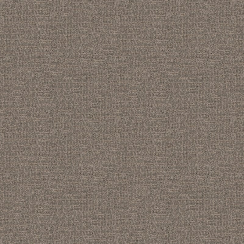 Connection carpet by Dixie Home