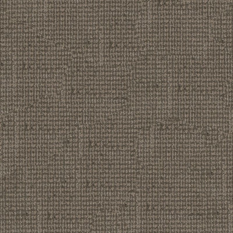 Tabby carpet by Dixie Home