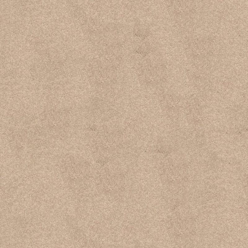 True Comfort carpet by Dixie Home