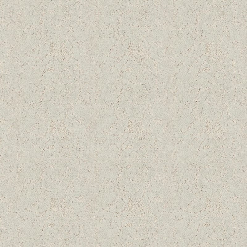 Shelter carpet by Dixie Home