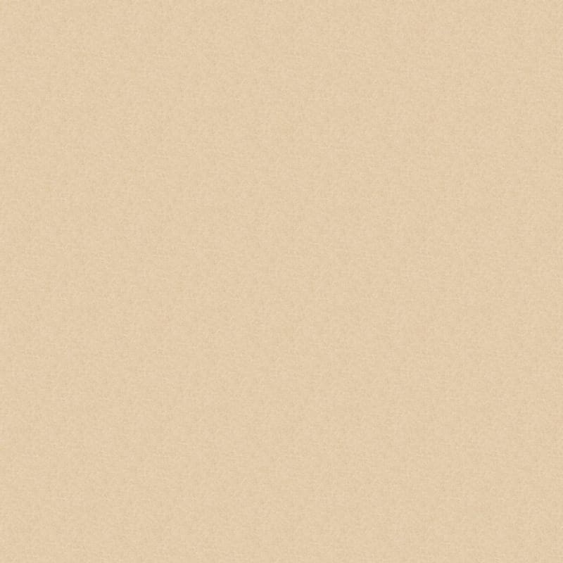 Inspiring carpet by Dixie Home