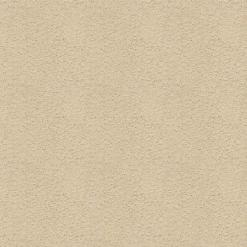Prize Winner carpet by Dixie Home