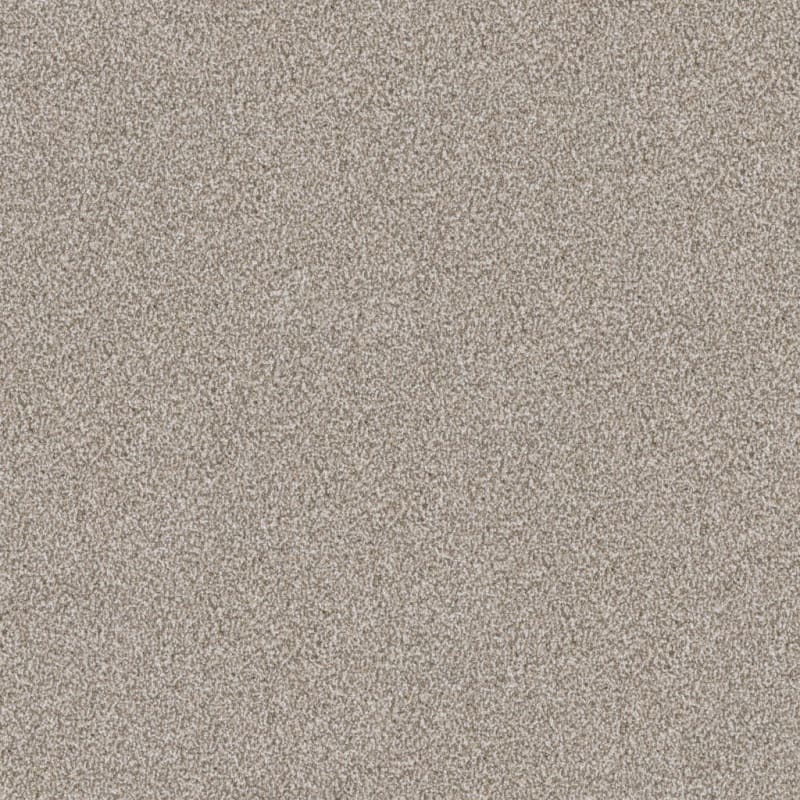 Big Dog carpet by Dixie Home