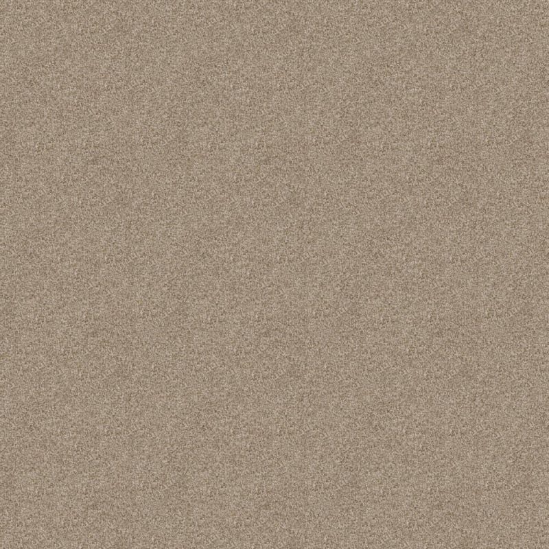 Shepherd carpet by Dixie Home