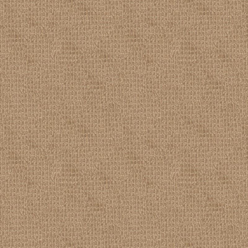 Yucatan carpet by Dixie Home
