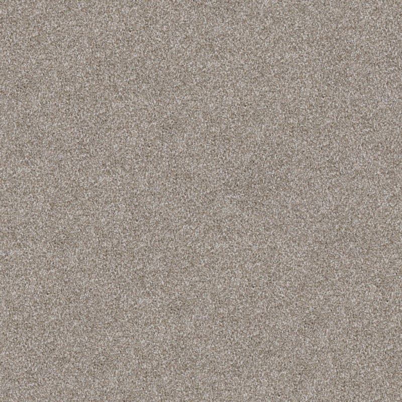 Big Dog carpet by Dixie Home