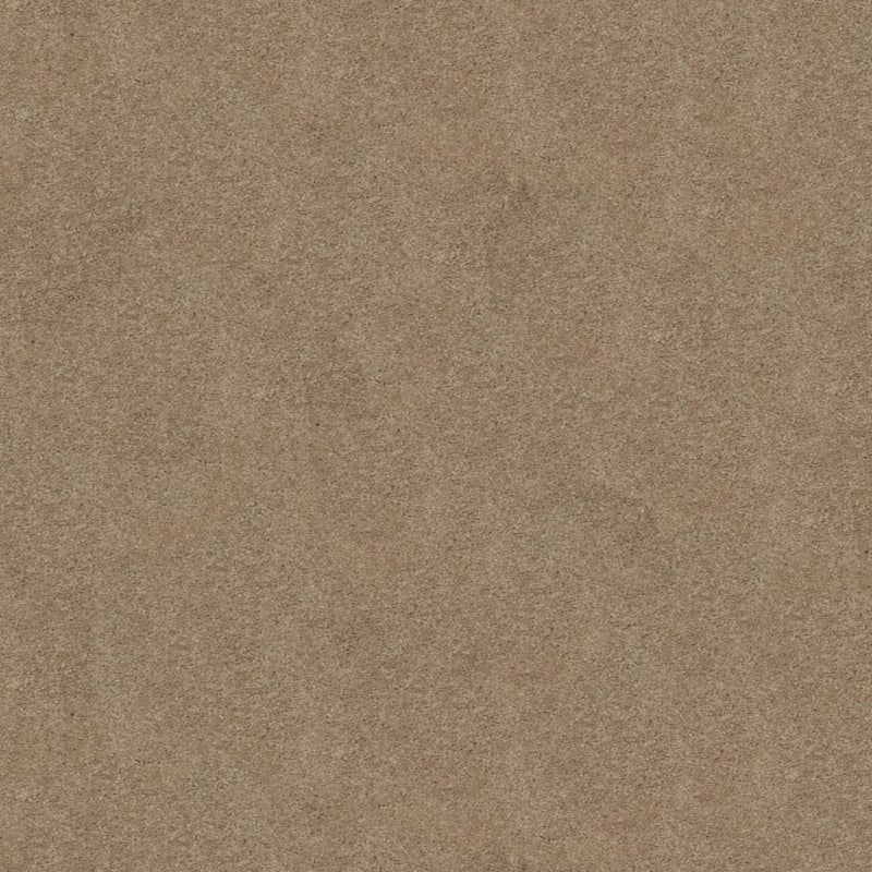 Soft & Silky carpet by Dixie Home