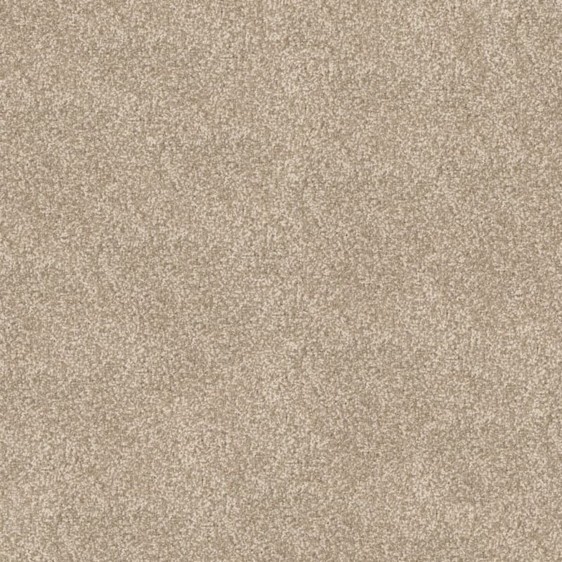 Spring Fling carpet by Dixie Home