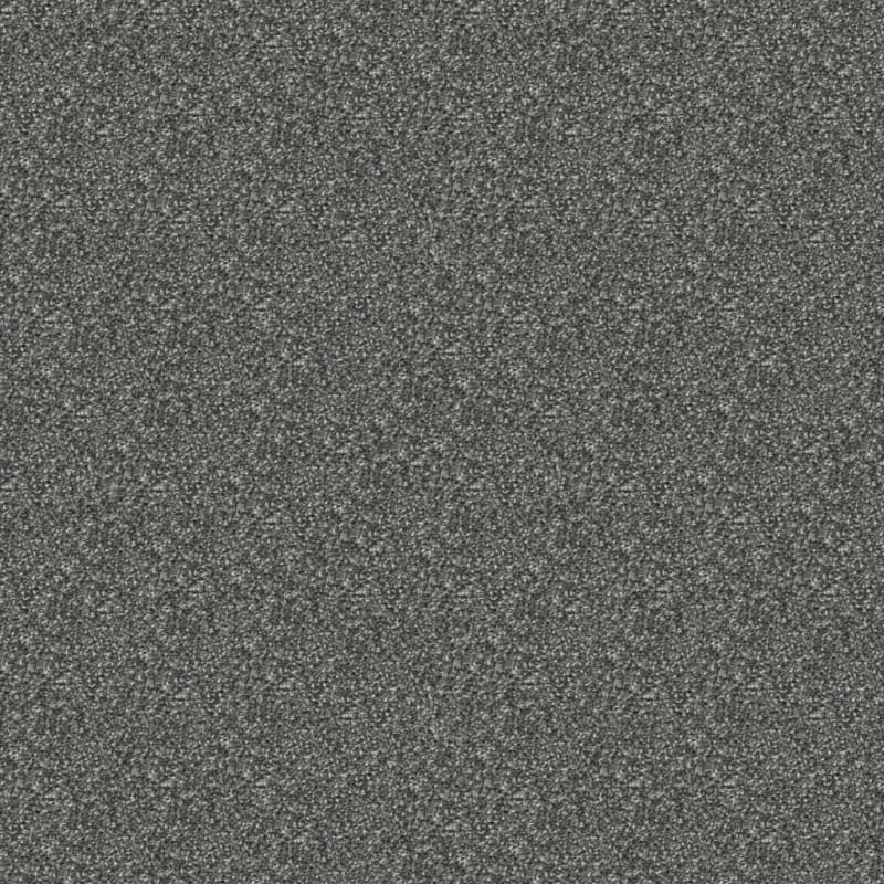 Game Plan carpet by Dixie Home