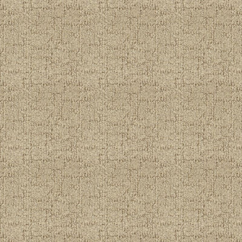 Victor carpet by Dixie Home
