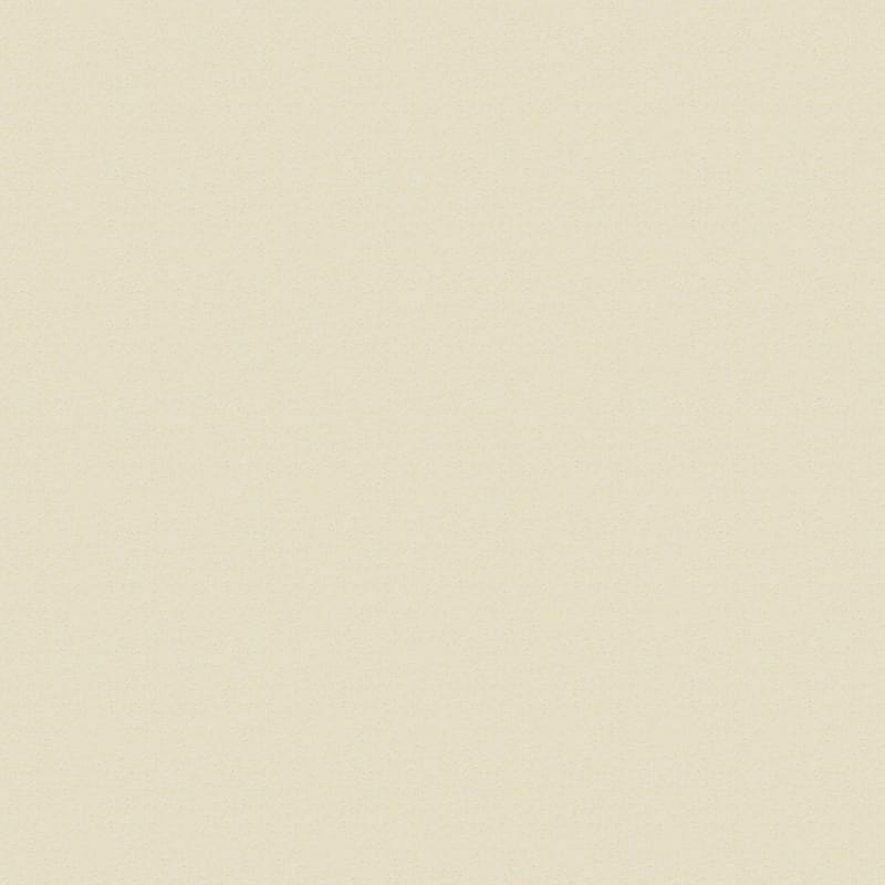 Katie's Comfort carpet by Dixie Home