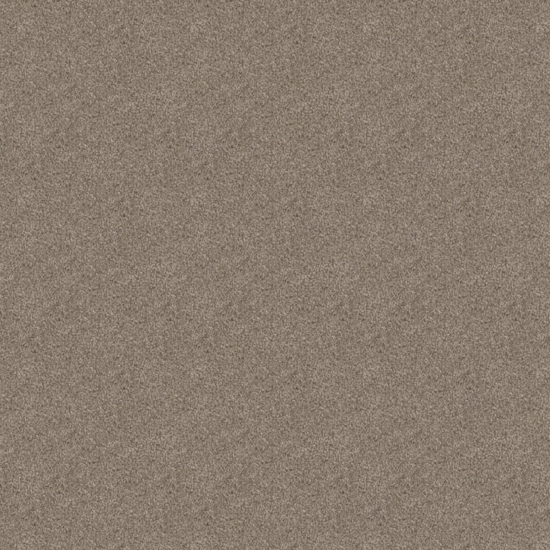 Shepherd carpet by Dixie Home