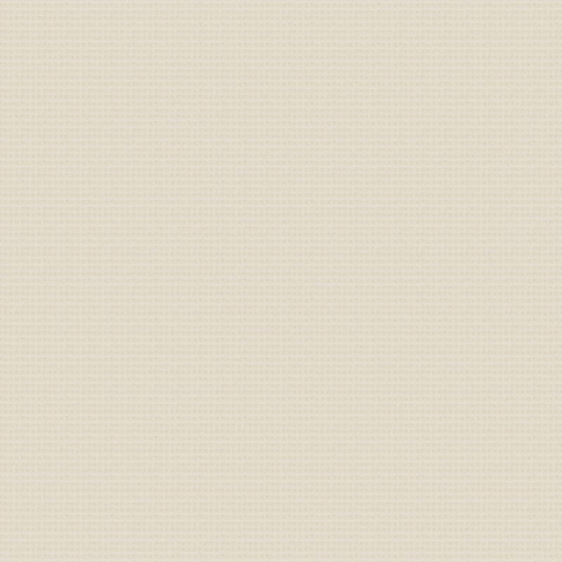 Rock Creek carpet by Dixie Home