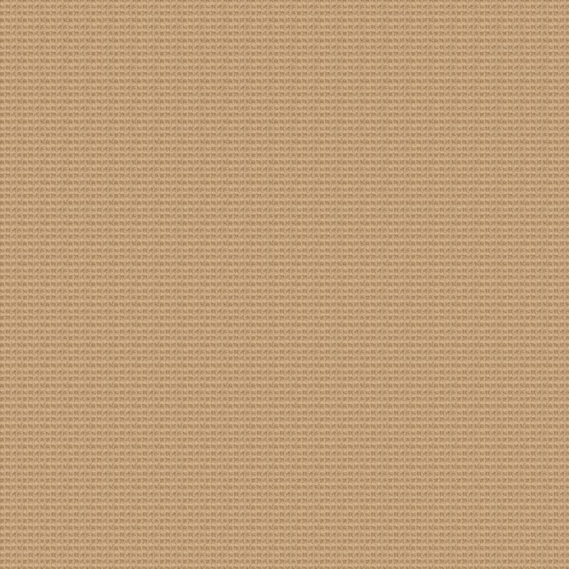 Rock Creek carpet by Dixie Home