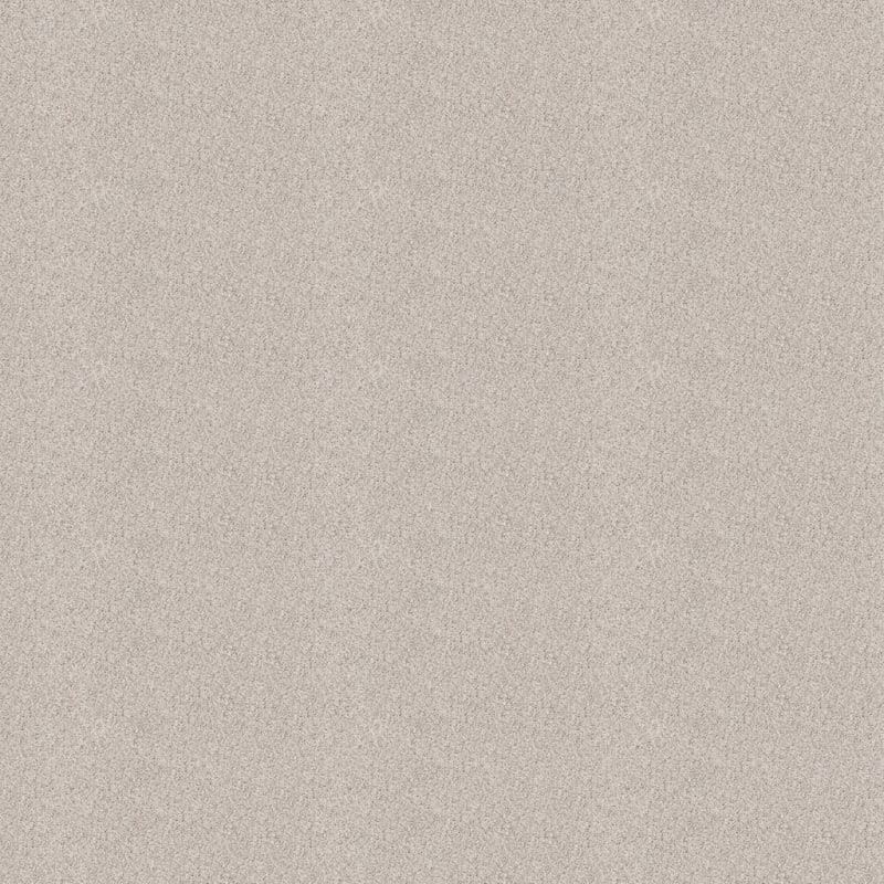 Saint Bernard carpet by Dixie Home