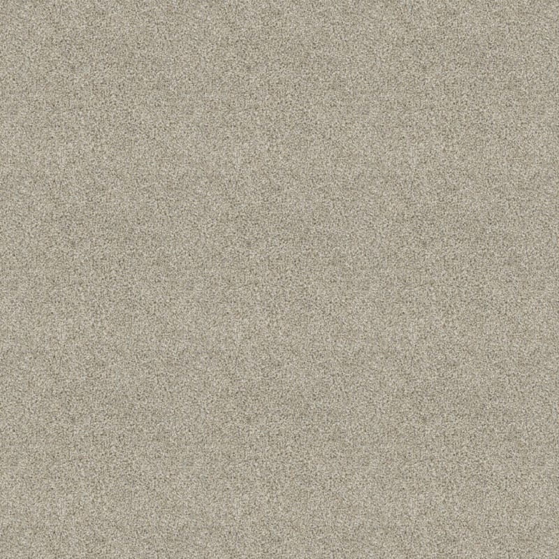 Tactics carpet by Dixie Home
